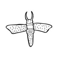 cartoon bug N88