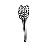 cartoon straw N12