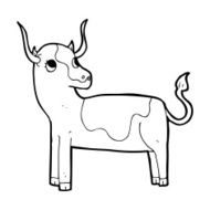 Cartoon Cow N121
