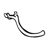 Cartoon Arm Holding Up N10