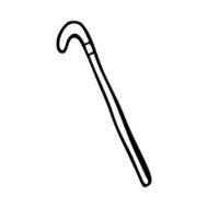 Cartoon Walking Stick N20