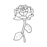 rose cartoon N10