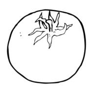Cartoon Tomato N197