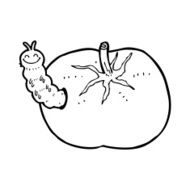 cartoon tomato with bug N14