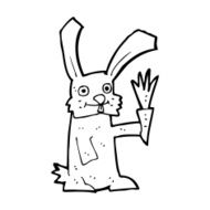 Cartoon Rabbit With Carrot N16