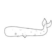 Cartoon Whale N121