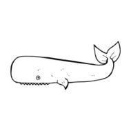 Cartoon Whale N123