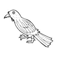 Cartoon Crow N41