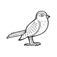 cartoon garden bird N57
