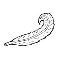 Cartoon Feather N71