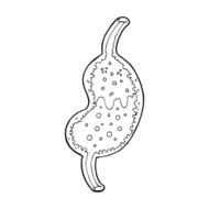 cartoon bubbling stomach N15
