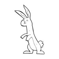 Cartoon Rabbit N200