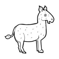 Cartoon Mule N16