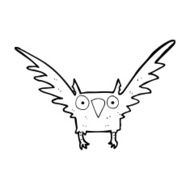 Cartoon Owl N206