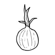 Cartoon Onion N21