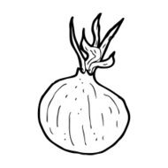Cartoon Onion N22