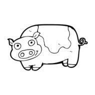 Cartoon Pig N77