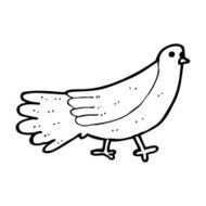 Cartoon Bird N528