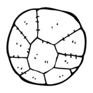 Cartoon Football N36