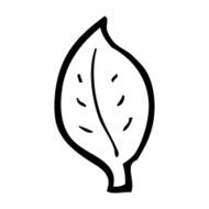 Cartoon Leaf N112