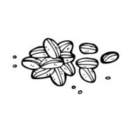 Cartoon Coffee Beans N33