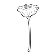 cartoon poppy N8