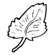 cartoon leaf symbol N68