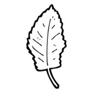 cartoon leaf symbol N69