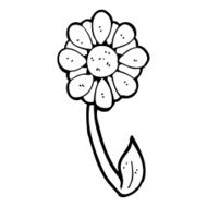 caroton flower N6