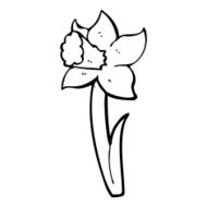 cartoon daffodil N17