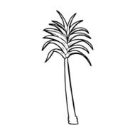 Cartoon Palm Tree N83