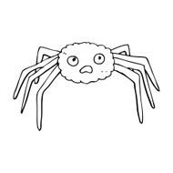 Cartoon Spider N46