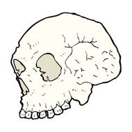 skull illustration N11