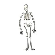 cartoon spooky skeleton N10