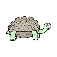 Cartoon Tortoise N67