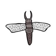 cartoon bug N92