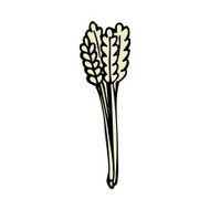 cartoon straw N13