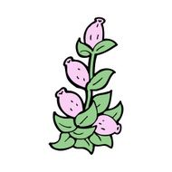 Cartoon Flowers N114