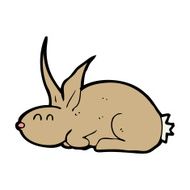 Cartoon Rabbit N204