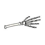cartoon skeleton hand N21