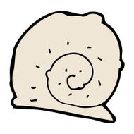 cartoon snail shell N14