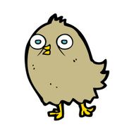 funny cartoon bird N255