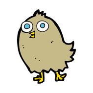 cartoon happy bird N51