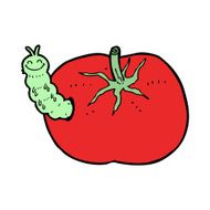 cartoon tomato with bug N15