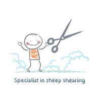 Specialist sheep shearing