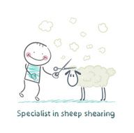 Specialist sheep shearing N2