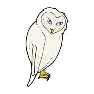 Cartoon Owl N211