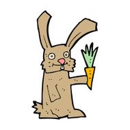Cartoon Rabbit With Carrot N17