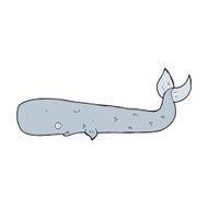 Cartoon Whale N125