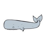 Cartoon Whale N127